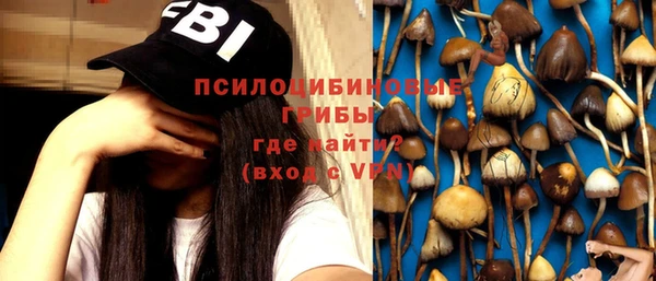 мдпв Заводоуковск