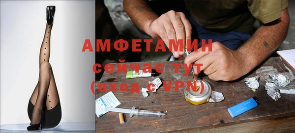 мдпв Заводоуковск