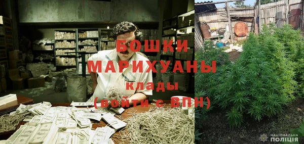 мдпв Заводоуковск