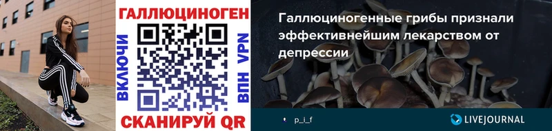 Псилоцибиновые грибы Psilocybe  Купить где  Чудово 